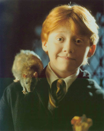 Ron a jeho Myska