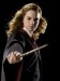 Hermiona s prutikom